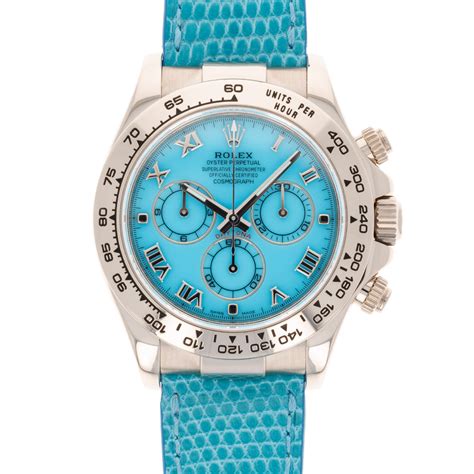 rolex daytona aqua|rolex daytona price.